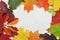 Autumn leaves frame wreath. Fall elements with place for your text on white background. Decor for Thanksgiving day