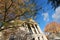 Autumn leaves in front of Severance Hall in Cleveland, Ohio - OHIO - USA