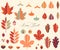 Autumn leaves and fruits in papercut design