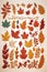 Autumn Leaves Gallery, Fall Foliage Collection
