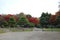 Autumn leaves in the Garden with a Hill and Pond in Koko-en Garden, Himeji, Japan