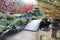 Autumn leaves in the Garden with a Hill and Pond in Koko-en Garden, Himeji, Japan