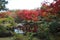 Autumn leaves in the Garden with a Hill and Pond in Koko-en Garden, Himeji, Japan