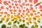 Autumn leaves gradient colorful rainbow leaf pattern fall colors flat lay, top view. Seasonal background. Vintage toning.