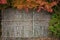 Autumn leaves green red maple border with bamboo background