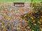 Autumn leaves on the ground and ice rain. A bench alone in the park