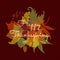 Autumn leaves and Happy thanksgiving text on the dark red background.