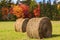 Autumn Leaves Hay Bales