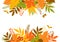 Autumn leaves header and border frame background