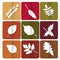 Autumn leaves icon. Red, yellow and green leaves of forest trees. Are used as buttons for web design