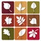 Autumn leaves icon. Red, yellow and green leaves of forest trees. Are used as buttons for web design