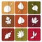 Autumn leaves icon. Red, yellow and green leaves of forest trees. Are used as buttons for web design