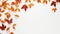 Autumn Leaves Labor Day Gift Decoration On White Background