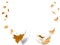 Autumn leaves leaf background isolated flying on the wind air space for your text
