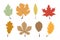 Autumn Leaves. Leaves collection. Leaf vector icons, isolated. Template autumn leaves in a row. Vector illustration