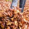 Autumn leaves and legs