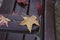 Autumn leaves lie on a bench in a park, texture. Autumn maple leaves of differents color on the bench in a park