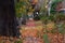 Autumn leaves littering suburb sidewalk, beautiful mess