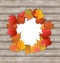 Autumn leaves maple with copy space, wooden textur