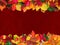Autumn leaves with maroon background
