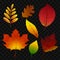 Autumn leaves - modern vector realistic clip art