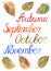 Autumn leaves month september october november season typographic set