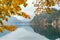 Autumn leaves and mountains reflect the water in the morning fog at Alpsee bei Schwangau