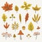 Autumn leaves and mushrooms, vector set