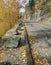 Autumn leaves on narrow mountain road