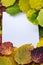 Autumn leaves and a notebook for notes. A clean white leaf on an autumnal background