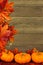 Autumn leaves and pumpkin border