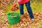 Autumn leaves put in a green basket