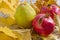 Autumn leaves, quince and pomegranate. Ripe organic pomegranate and quince in still life with yellow leaf. Seasonal background