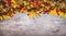 Autumn leaves and red fall berries on gray stone background, top view