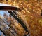 Autumn leaves reflected in a car window