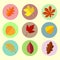 Autumn leaves set 5