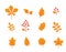 Autumn leaves set. Fall leaf and berries icons. Floral nature symbols over white background