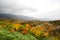 Autumn Leaves at Shiretoko Pass, Hokkaido, Japan