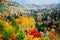 Autumn Leaves at Shiretoko Pass, Hokkaido, Japan