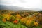 Autumn Leaves at Shiretoko Pass, Hokkaido, Japan