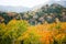 Autumn Leaves at Shiretoko Pass, Hokkaido, Japan