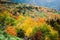 Autumn Leaves at Shiretoko Pass, Hokkaido, Japan