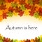 Autumn leaves text frame eps 10