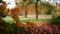 Autumn leaves turning golden with park in background