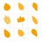 Autumn leaves of various trees. Set of icons.