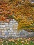 Autumn leaves on a wall inside Kalemegdan fortress, Belgrade