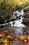 Autumn leaves in the waters of Saluda falls in North Carolina