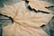 Autumn leaves on a weathered wooden background