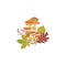 Autumn leaves and wild honey mushrooms flat vector illustrations isolated.