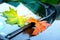 Autumn leaves on windshield